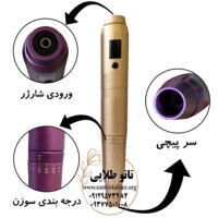 دستگاه میکروپیگمنتیشن جولیا